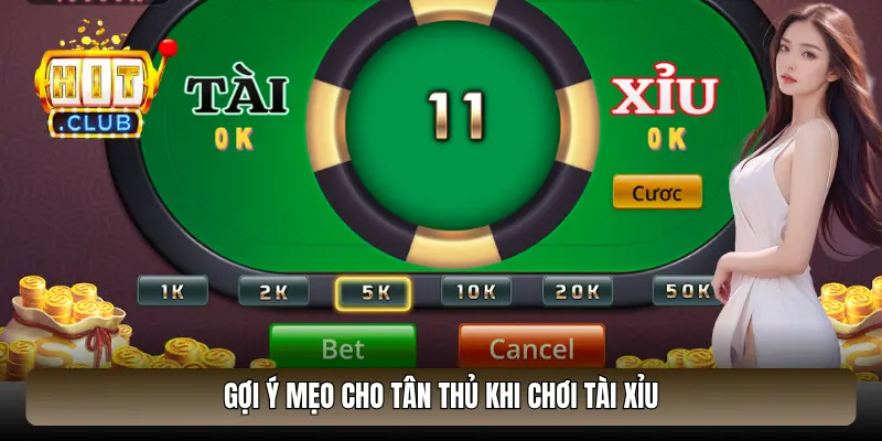 Gợi ý mẹo cho tân thủ khi chơi Tài Xỉu Gợi ý mẹo cho tân thủ khi chơi Tài Xỉu